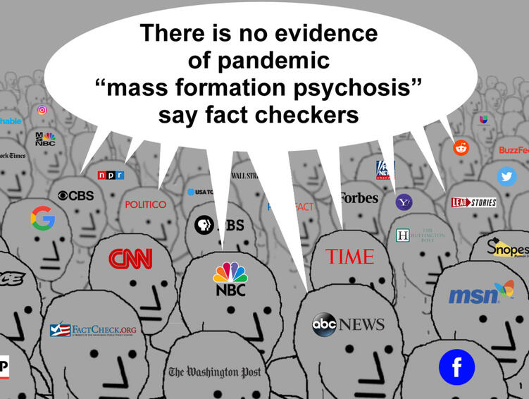 Mass Formation Delusion