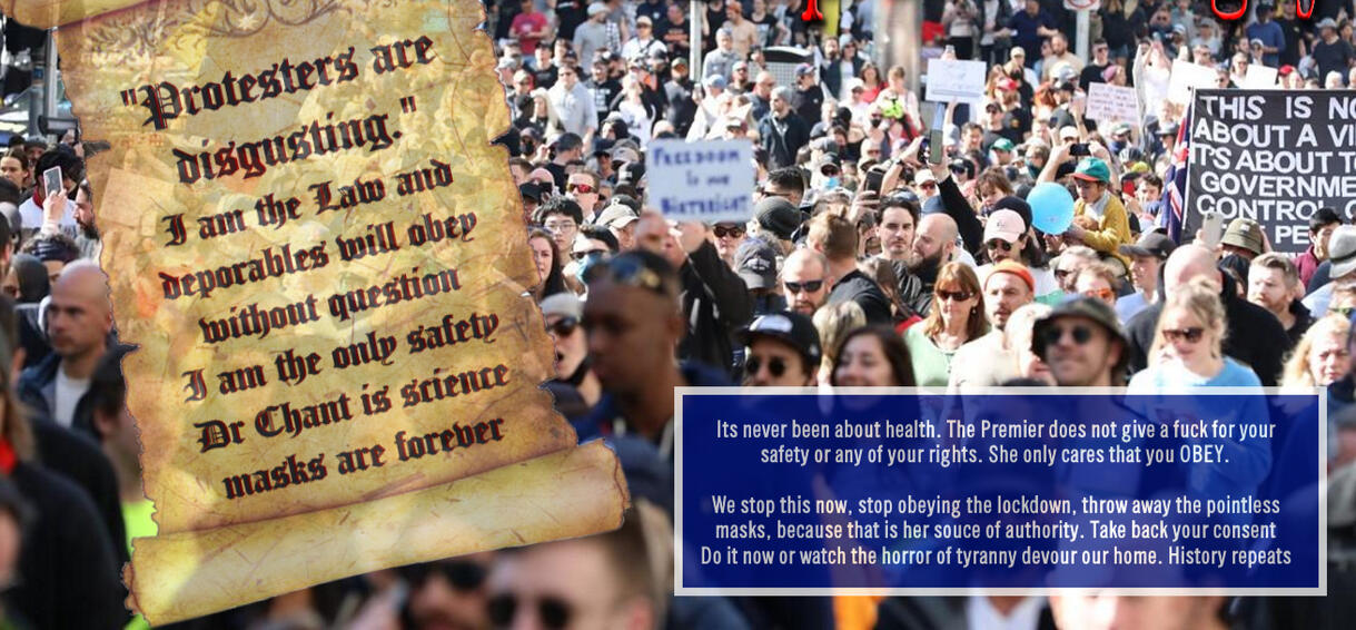 Holt vs Rogue Government